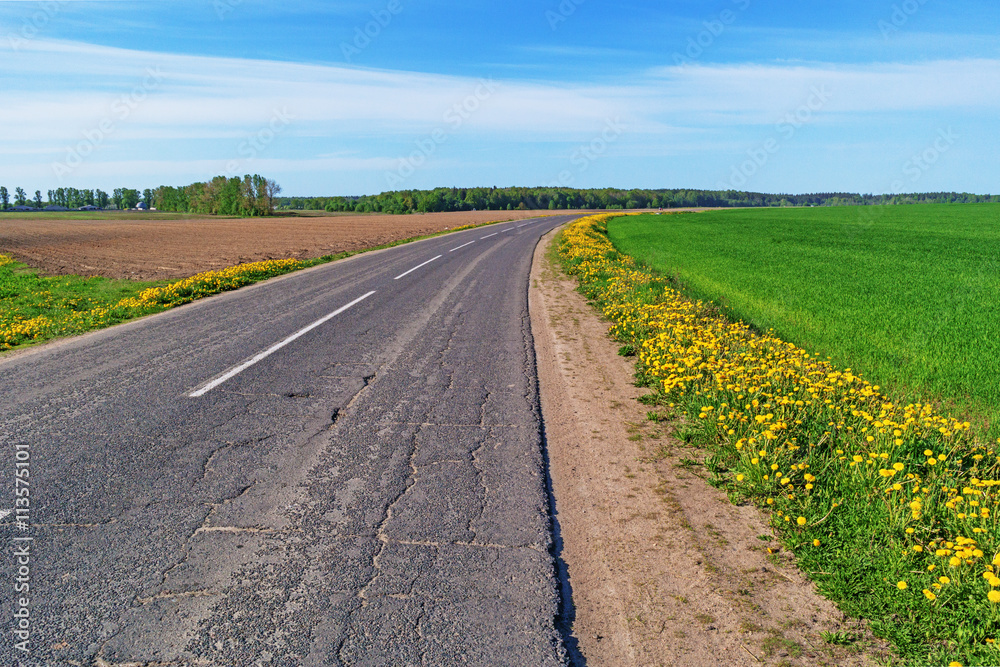 Rural asphalt road through the fields.