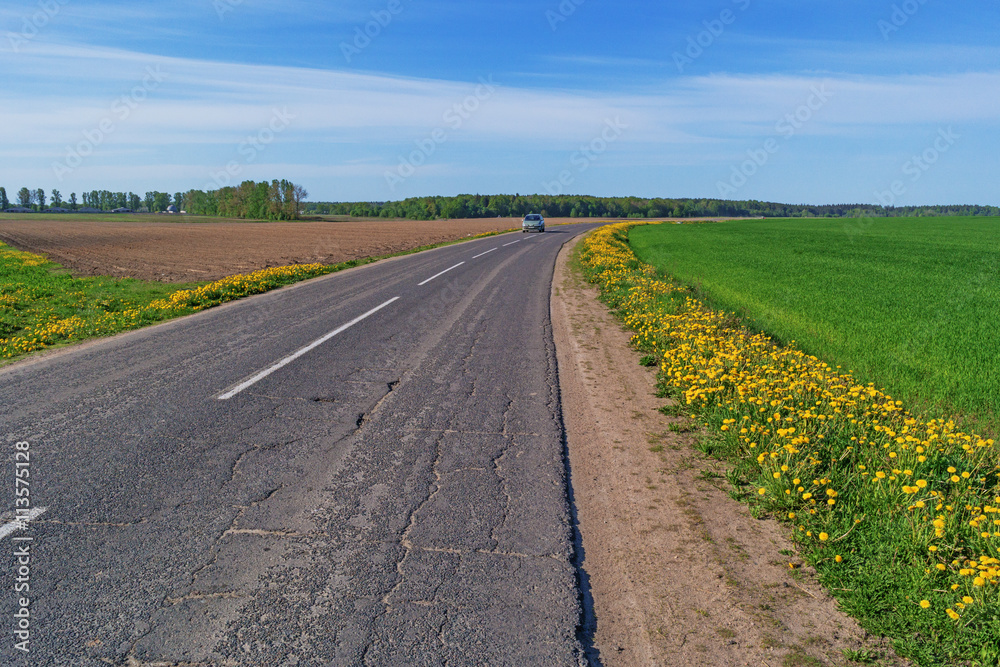 Rural asphalt road through the fields.