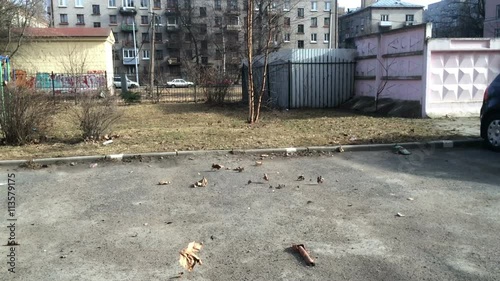 Incipience of little tornado on a street in windy day photo