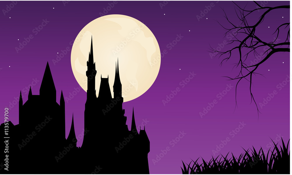 Silhouette of castle and full moon
