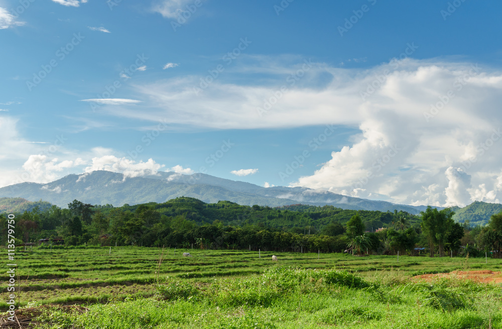 landscape of nature mountains with blue sky in the outdoor landscape of nature mountains with blue sky in the outdoor