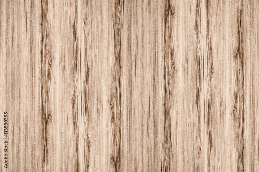 Fototapeta premium nature wood background
