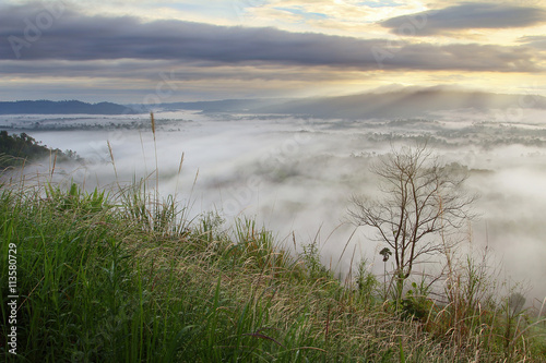 Fototapeta Naklejka Na Ścianę i Meble -  The beauty of the natural and the mist environment during sunrise and sunset at Khao Kho District ,Phetchabun Province in Thailand