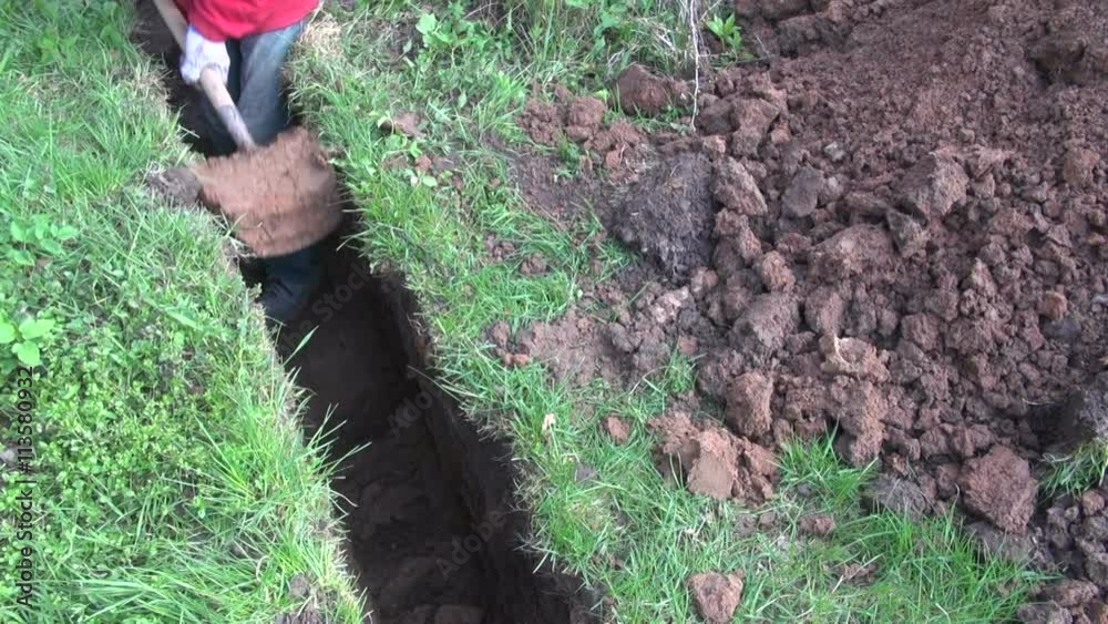 Worker in farm digging a trench