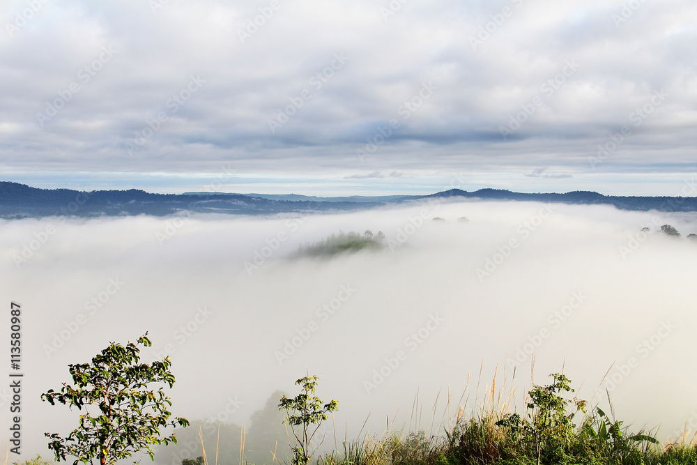 Fototapeta premium Abstract background of nature and the mist at Khao Kho District ,Phetchabun Province in Thailand