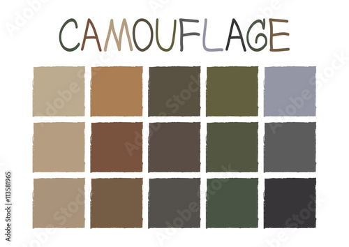 Camouflage Color Tone witho...