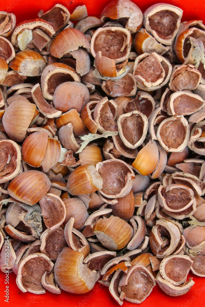 Close up of hazelnuts