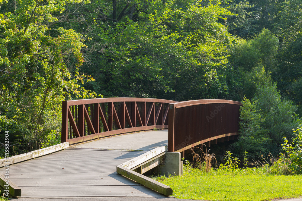 Fototapeta premium Metal bridge in the forest.