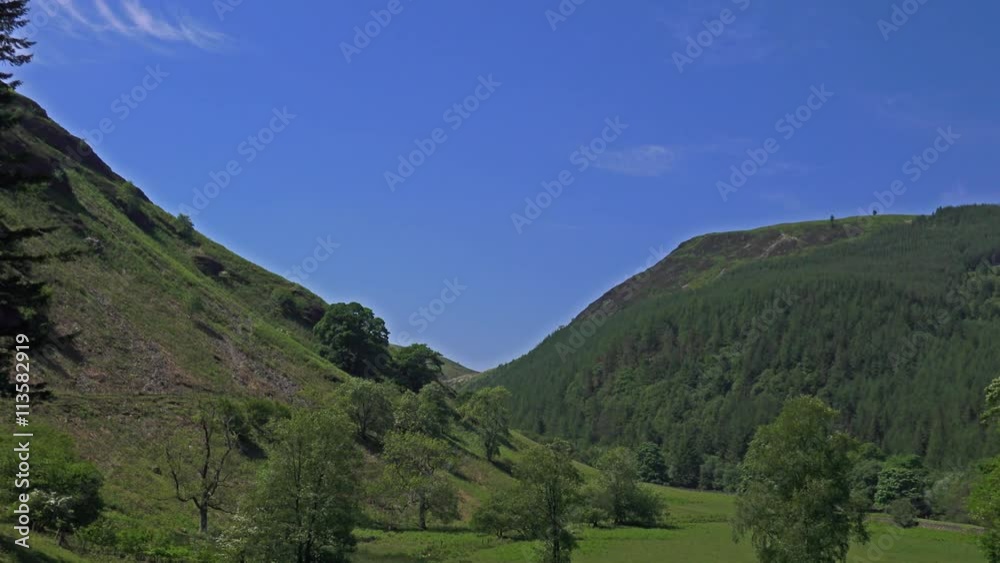woodland on hillside generic nature beauty: Powis, Wales: June 2016 woodland on hillside generic nature beauty: Powis, Wales: June 2016