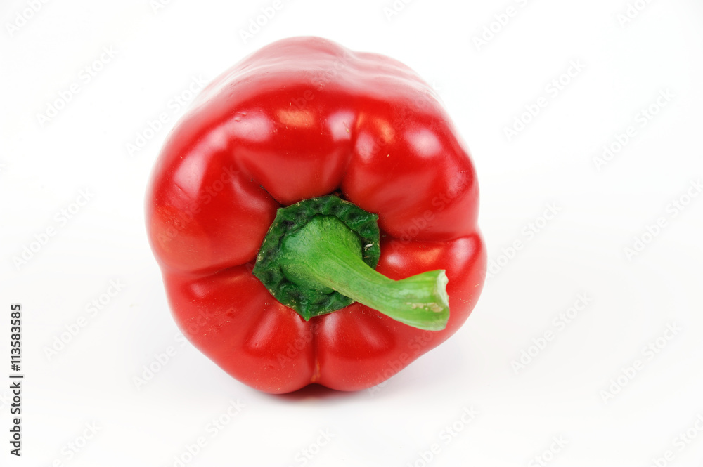 single pepper in red color on white background