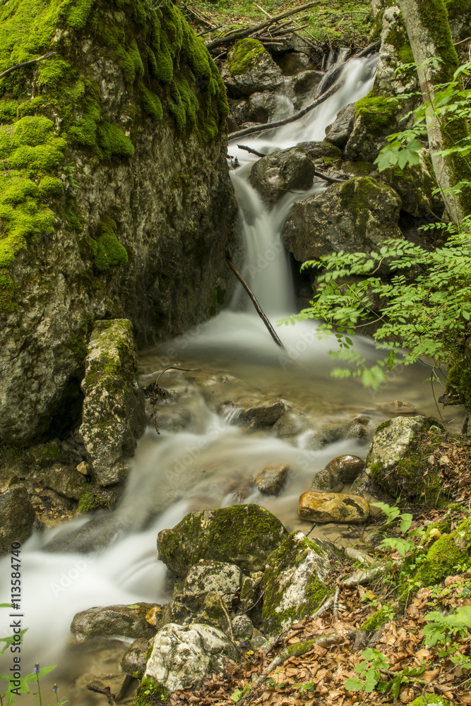 Fototapeta premium Ruisseau l'Alloix - Chartreuse - Isère.
