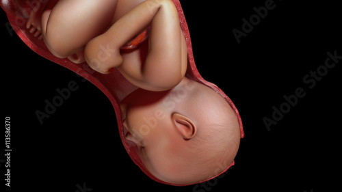 Normal labor and vaginal birth photo