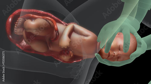 Normal labor and vaginal birth photo