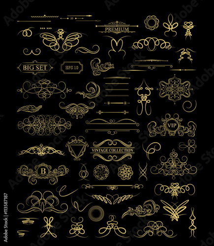 Calligraphic design elements and wicker lines in vector