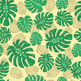 seamless pattern with monstera leaves