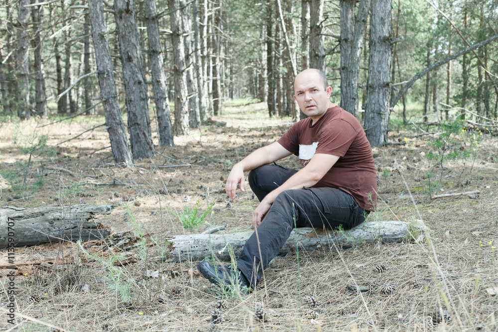 man in pine forest; man hiking; man hiking in forest; huntsman; man in pine forest; man hiking; man hiking in forest; huntsman;