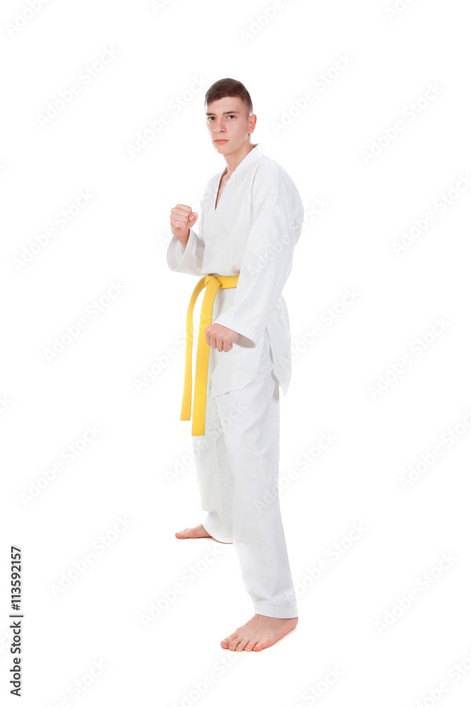 Slim guy practicing martial art Slim guy practicing martial art
