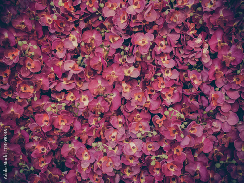 Artificial pink orchid backdrop wall for background