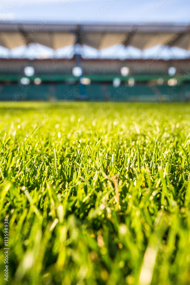 Fototapeta premium Green grass at modern stadium during sunny day