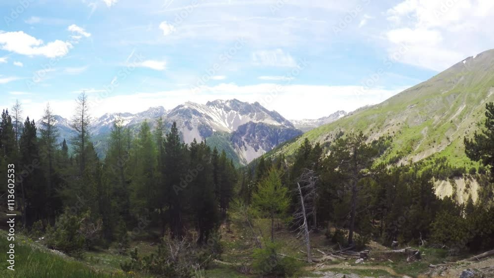 High altitude landscape with majestic snowcapped mountain range and larch tree forest in the Queyras Regional Park, France. High altitude landscape with majestic snowcapped mountain range and larch tree forest in the Queyras Regional Park, France.
