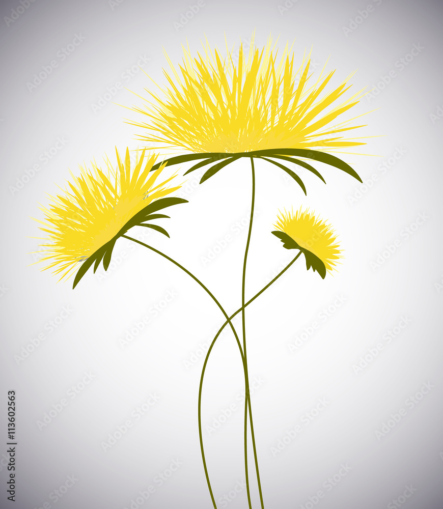 Fototapeta premium vector background with flowers trёmya