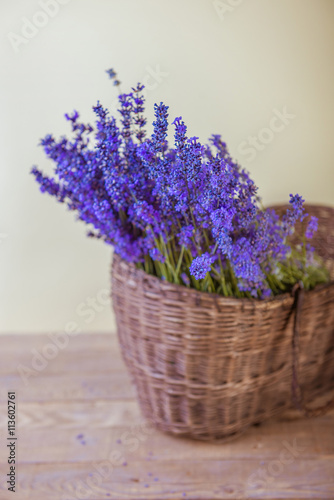basket with lavender
