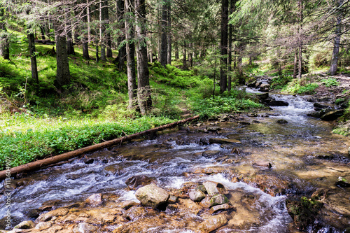 Mountain River on the way to Mount Hoverla