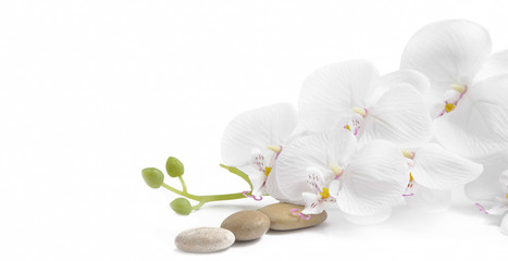 Plexiglas schilderij Spa Witte orchidee met massagestenen  © marrakeshh