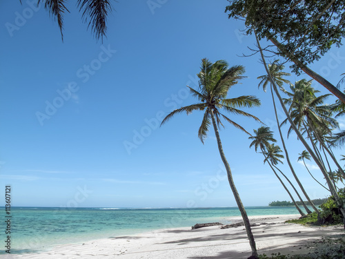 Fototapeta Naklejka Na Ścianę i Meble -  Spiaggia di sabbia bianca e corallo alle isole Fiji