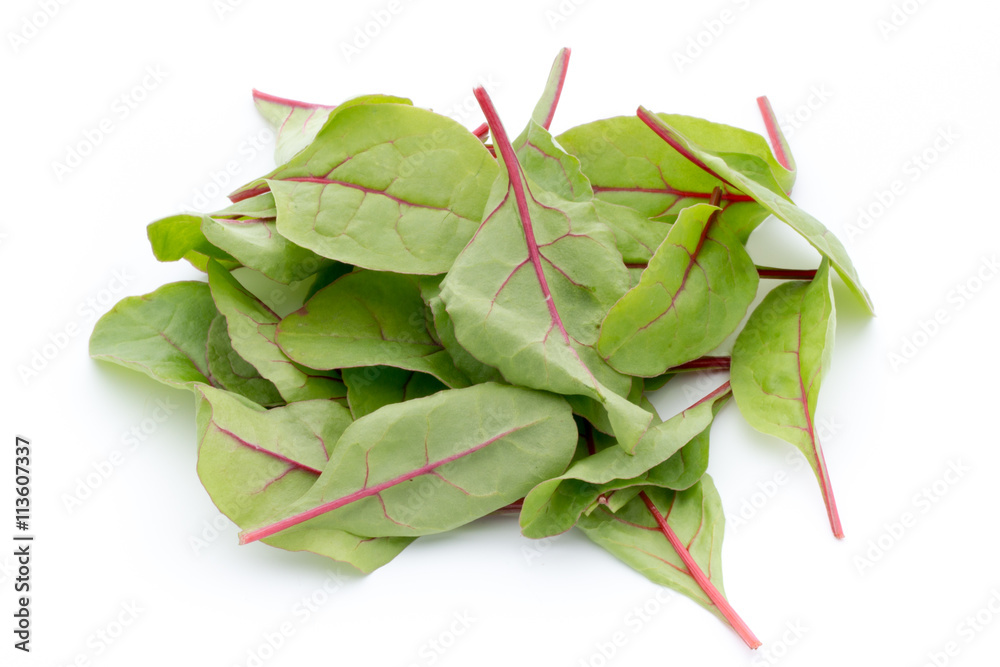 Fresh leaf beet root isolated on white background. Fresh leaf beet root isolated on white background.