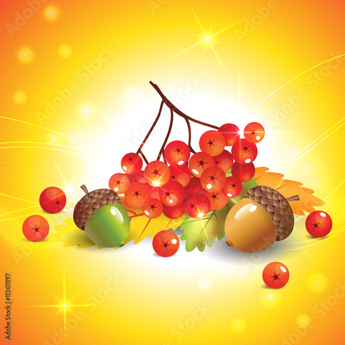 Autumn leaves, acorns and rowan for your design