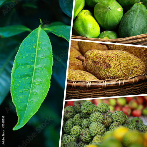 Photography Collage of India images - travel background (my photos)