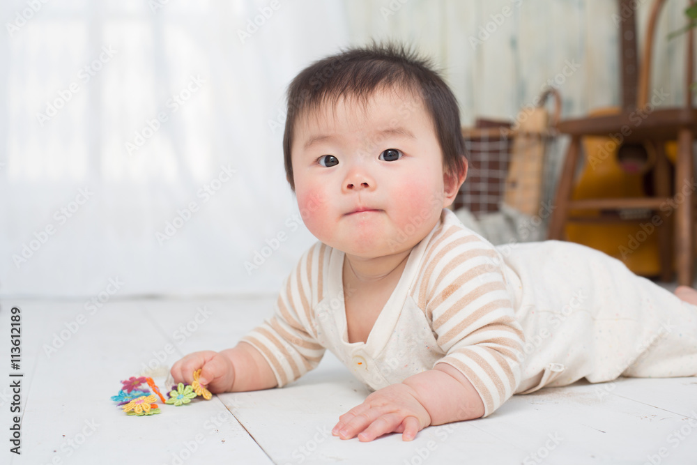 ハイハイする赤ちゃん ハイハイする赤ちゃん
