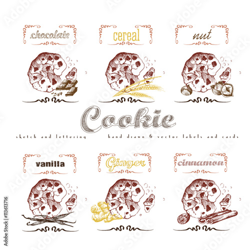Cookies label lettering hand drawn sketch collection with chocolate, cereal, nut, vanilla, ginger, cinnamon. Vector vintage illustration and letter elements.