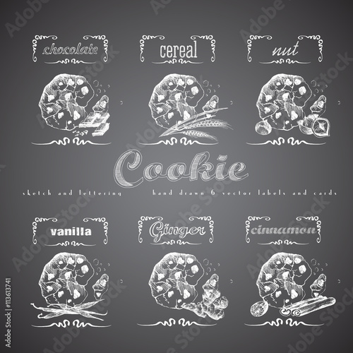 Cookies label lettering hand drawn sketch collection with chocolate, cereal, nut, vanilla, ginger, cinnamon. Vector vintage illustration and letter elements.