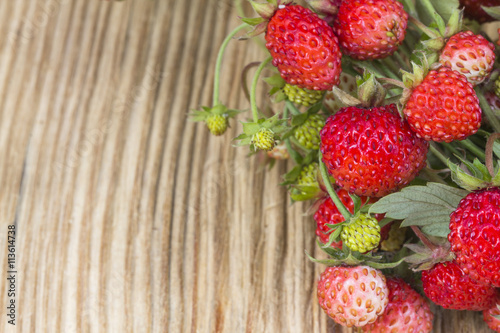 Forest berry - strawberries