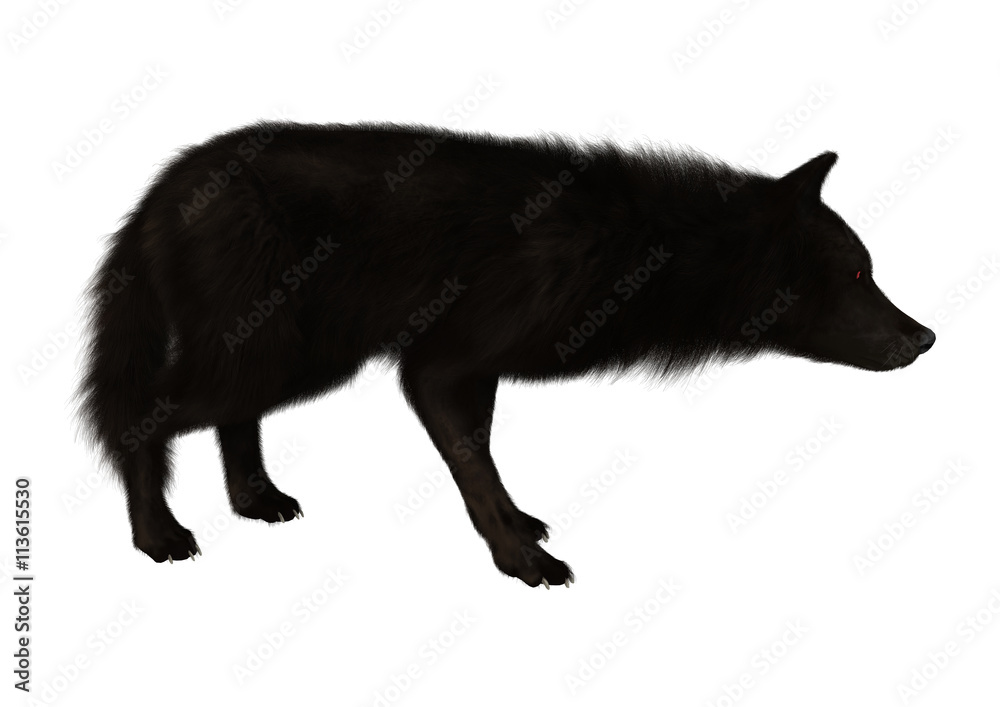 Obraz premium 3D Rendering Black Wolf on White