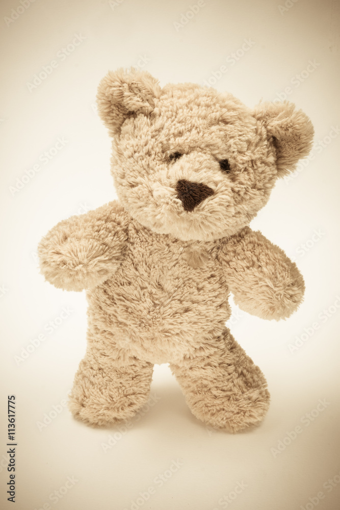 Fototapeta premium teddy bear