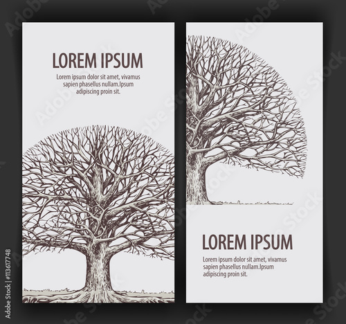 Tree without leaves. Nature or Ecology. Hand drawn vector illustration