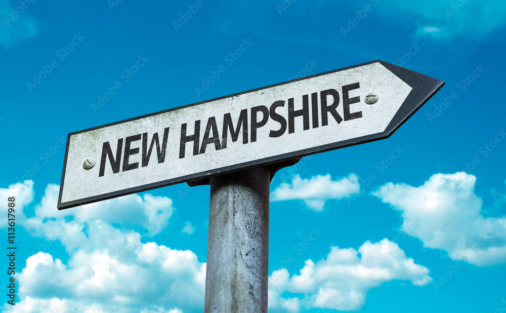 Fototapeta premium New Hampshire direction sign in a concept image
