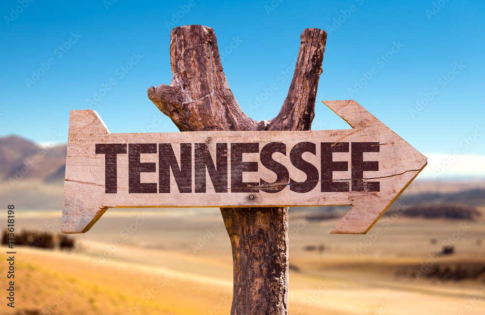 Tennessee wooden sign with desert background
