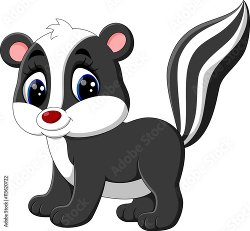 illustration of baby skunk cartoon