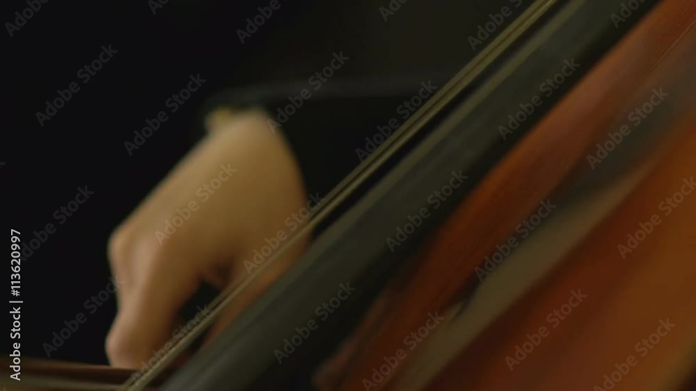 close-up view on violoncello in orchestra close-up view on violoncello in orchestra