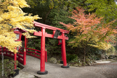 Japanese Garden in Beppu