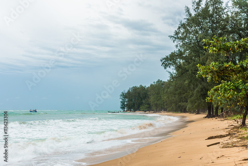 Fototapeta Naklejka Na Ścianę i Meble -  Forest besides a beach on rainy day in Phuket, Thailand.