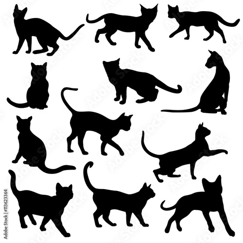 Canvas Print set of cats silhouettes
