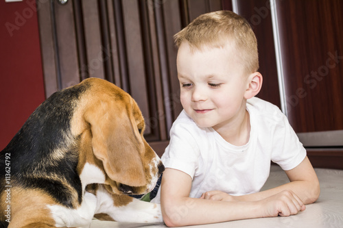 boy plays with a beagle dog