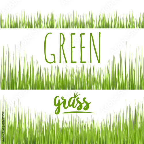 Set realistic green grass lawn