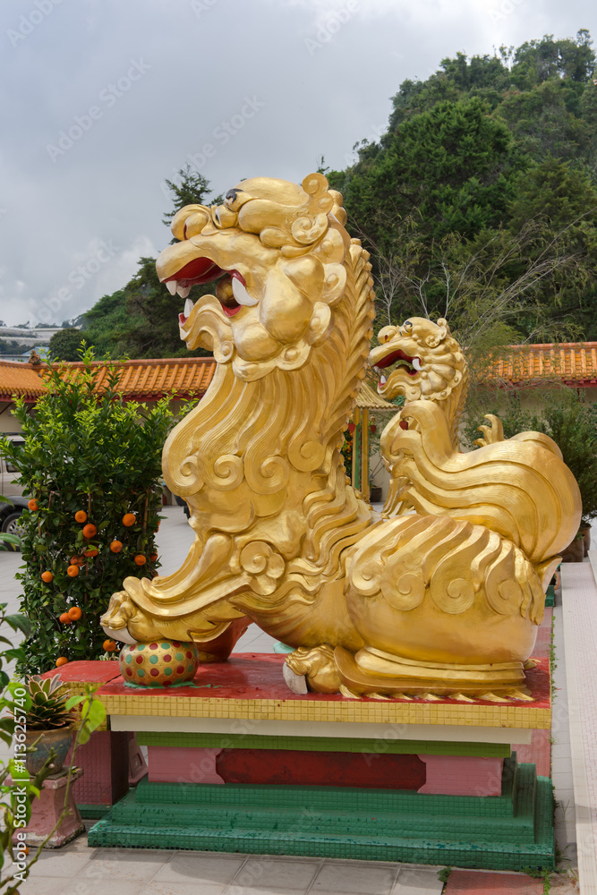 Guardians Of Buddha/Photo of mythical lions guard the Buddha at the entrance to the temple. The temple is located in the Pahang district around the town of Tanah Rata