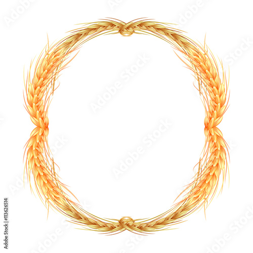 isolated round frame of rye, barley and oats